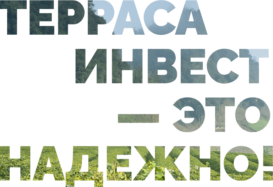 терраса инвест это надежно